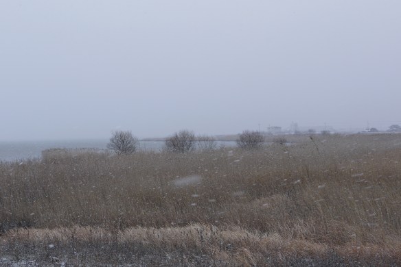 雪のなぎさ公園