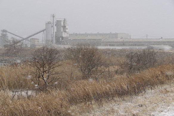 130126雪の宍道湖西岸2