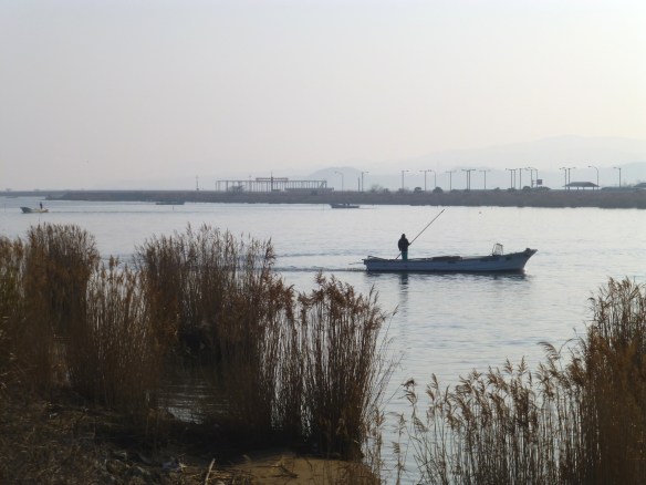 十四間川のシジミ漁