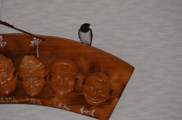 今年もやってきたツバメ玄関の七福神の掛物の上で巣を作る場所を物色中