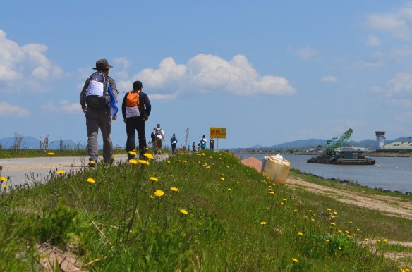 土手に咲く黄色い花に見送られて歩む人たち